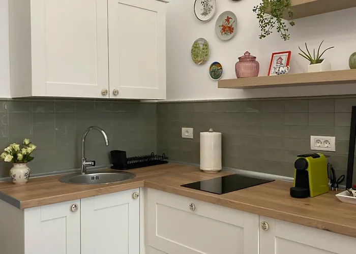 דירה Hey טימישוארה